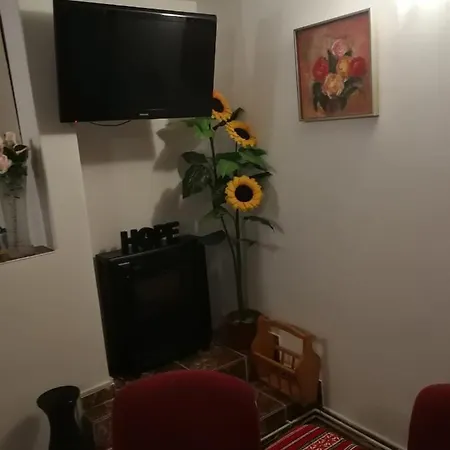 Pensiunea Mir Πανσιόν Μπραν