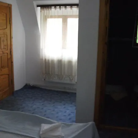 Πανσιόν Pensiunea Mir 3*